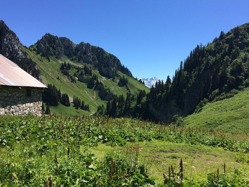 Thollon-les-MemisesLes Balcons Du Leman住宿加早餐旅馆 外观 照片