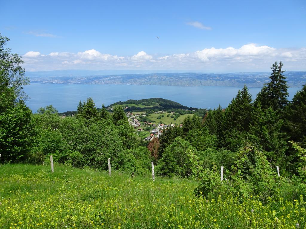 Thollon-les-MemisesLes Balcons Du Leman住宿加早餐旅馆 外观 照片