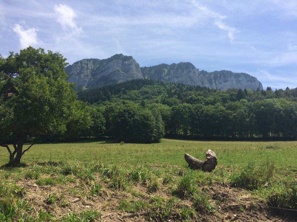 Thollon-les-MemisesLes Balcons Du Leman住宿加早餐旅馆 外观 照片